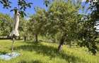 Teren in Breaza Frasinet | 1.955 mp | 23 /mp - 6