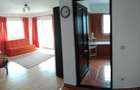 Apartament 1 camera, 40 mp + balcon 20 mp, parcare inclusa, zona VIVO! / Valea Garbaului - 4