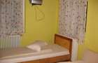 Vila D+P+E+M de vanzare in Busteni, cartier Valea Alba - 10