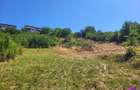 Teren Intravilan 546 mp | Panorama deosebita | PUZ in lucru - 3