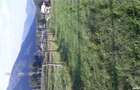 Teren de 6400 mp, în Central - 3