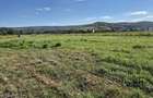 Teren intravilan - 650 mp - Tomesti Vale - 2
