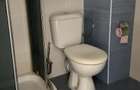 Apartament de vanzare Elisabetin - 1
