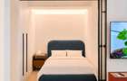 Studio dublu LUX Cortina North - 2