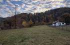 Vand teren de 3600m2 - 1
