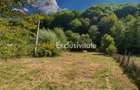 Teren intravilan–820mp | Curtea de Arges, Str. Valea Doamnei