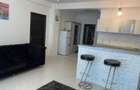 inchiriere Ap 2 camere Berceni - 4