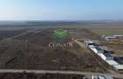 Teren de vanzare cu autorizatie pentru 2 hale - Otopeni - 10.000 mp - 8