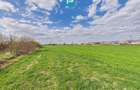 Teren extravilan, 1 ha, in ora?ul Sebi?, Arad - 8