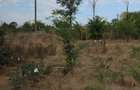 Teren 3500mp intravilan casa 112mp si 43mp anexe Istria - 2