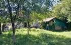 Casa Breaza central cu un mare cire? alb pentru dulcea?a! - 9