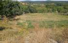 Casă cu Teren 2254 Mp în Bruznic - 2