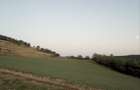 Teren extravilan Hamba 2 parcele 7000mp2 - 5