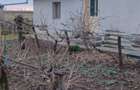 Casă cu 3 camere cu Teren 3000 Mp în Caporal Alexa - 8