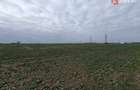 Teren extravilan pretabil constructii industriale - zona Calea Sagului