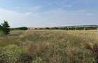 Teren intravilan Miersig, vedere la lac. 12,5 E/mp neg. Comision 0 - Miersig (Bihor) - 10