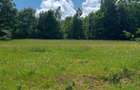 Teren vanzare INTRAVILAN, 7800 mp, Poiana Ampoiului, ZONA TURISTICA