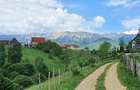 Teren pentru casa de vacanta , Pestera , Brasov - 11