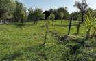 Vand tere extravilan in zona munte Corbisori Arges - 1