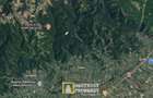 De vanzare teren extravilan 8,2037 ha padure ?i pa?une Borod, Bihor - 3
