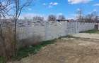 Vand teren intravilan comuna Maxineni(Braila) - 5