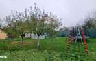 Casa / Vila de vanzare Belciugatele str. VIILOR - 14