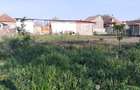 De vinzare teren intravilan in com.Livada jud.Arad. tel.0748671008 - 6