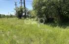 Teren 2.200 mp | 11 km de Pitești | Vanzare integral sau parcelă de 500 mp - 3