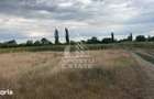 Parcela teren casa, intravilan, 1000 mp, Sanmihaiu Roman - 2