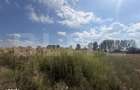 Teren extravilan, 9000 mp, zona Nusfalau