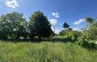 Teren intravilan de vanzare | 11.000 mp | Ghirdoveni | Comision 0%