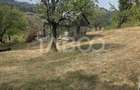 Teren de vanzare 8.300 mp Plesi Loman judetul Alba - Plesi (Alba)