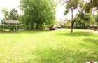 Casa cu teren 4,3 hectare in Livada ( ID 22148) - 8