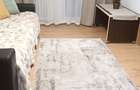 Boema-Tomis Nord 2 camere de inchiriat - 4