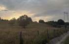 Teren 14.000 mp | 51 m deschidere la asfalt | Lupesti - Bumbesti-Pitic | Novaci | Gorj - 3
