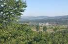 Casa de vacan?a cu 8.421 mp teren Magura, Buzau - 1