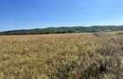 Teren 1600 mp strada cu case, zona linistita Podenii Noi - 3