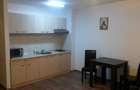GARSONIERA BABA NOVAC - ptr. o singura persoana - 10
