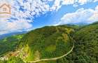 Investitie Smart in Moieciu, 3.1 ha, Panorama 360 Bucegi - Piatra Crai - 12