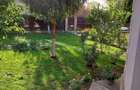 Casa de vanzare Domnesti Teghes in vecinatatea padurii - 4