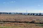 OCAZIE ! EFORIE NORD 3 LOTURI 517 MP. 19.500 EURO IDEAL INVESTITIE ! - 4