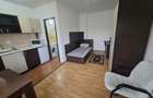 Inchiriez apartament 1 camera Zona Confectii ID:RH-44165-property - 3