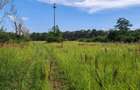 TEREN INTRAVILAN DE VANZARE // 5800 m2 CORLATE?TI, PRAHOVA - 2