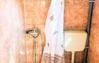 Vand Vila cu 5 camere in Topli?a, langa raul Cerna, in mijlocul naturii. Pre? 65000 EUR Negociabil - 6