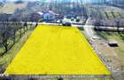Teren 872 Mp, Zona Linistita, Aer Curat - 10
