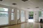 Centru - Spatiu stradal, 99 mp, cu vad comercial, ideal pentru magazin - 7