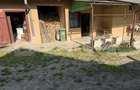 Casa de vanzare in suprafat de 90 mp cu 583 mp teren, loc. Zalau zona Bradet - 4