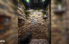 Casa rustica cu piscina,teren generos si potential excelent in Tarnova