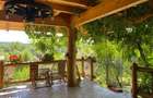 Domeniu exclusivist 17.000 mp | Vila luxury cu piscina & SPA Carbu - 15