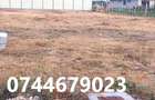 Teren premium, zona rezidentiala , Cihei - 5